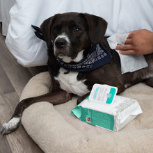 Load image into Gallery viewer, Paws & Pals Pet Grooming Wipes Hypo-Allergenic Cleansing and Deodorizing