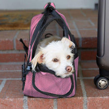 Load image into Gallery viewer, Paws & Pals Airline Approved Soft Sided Pet Carrier