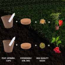 Load image into Gallery viewer, Plant Your Own Garden Grow Kit