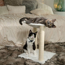 Load image into Gallery viewer, Paws & Pals 3-in-1 Cat Scratching Post with Hammock and Toy