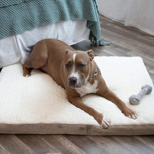 Load image into Gallery viewer, Paws & Pals Orthopedic Pet Bed Foam-Mattress for Dogs and Cats