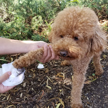 Load image into Gallery viewer, Paws &amp; Pals Pet Grooming Wipes Hypo-Allergenic Cleansing and Deodorizing
