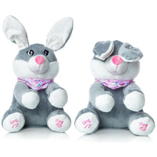 Load image into Gallery viewer, Interactive Sing &amp; Play 9.5" Plush Toy
