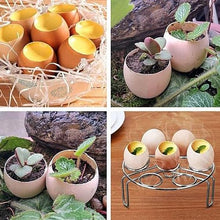 Load image into Gallery viewer, Stainless Steel EggShell Cutter Opener
