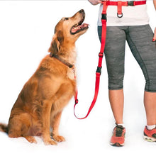 Load image into Gallery viewer, The Buddy System Adjustable Hands Free Dog Leash
